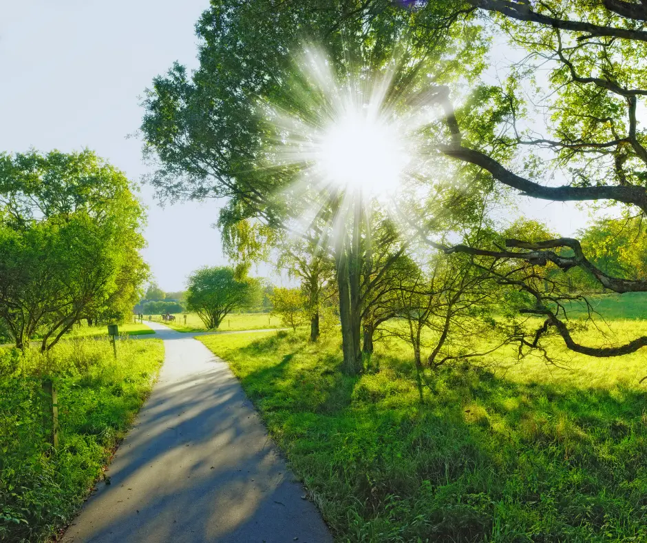 nature